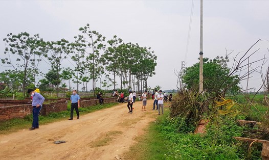 Ảnh minh họa: Phan Anh