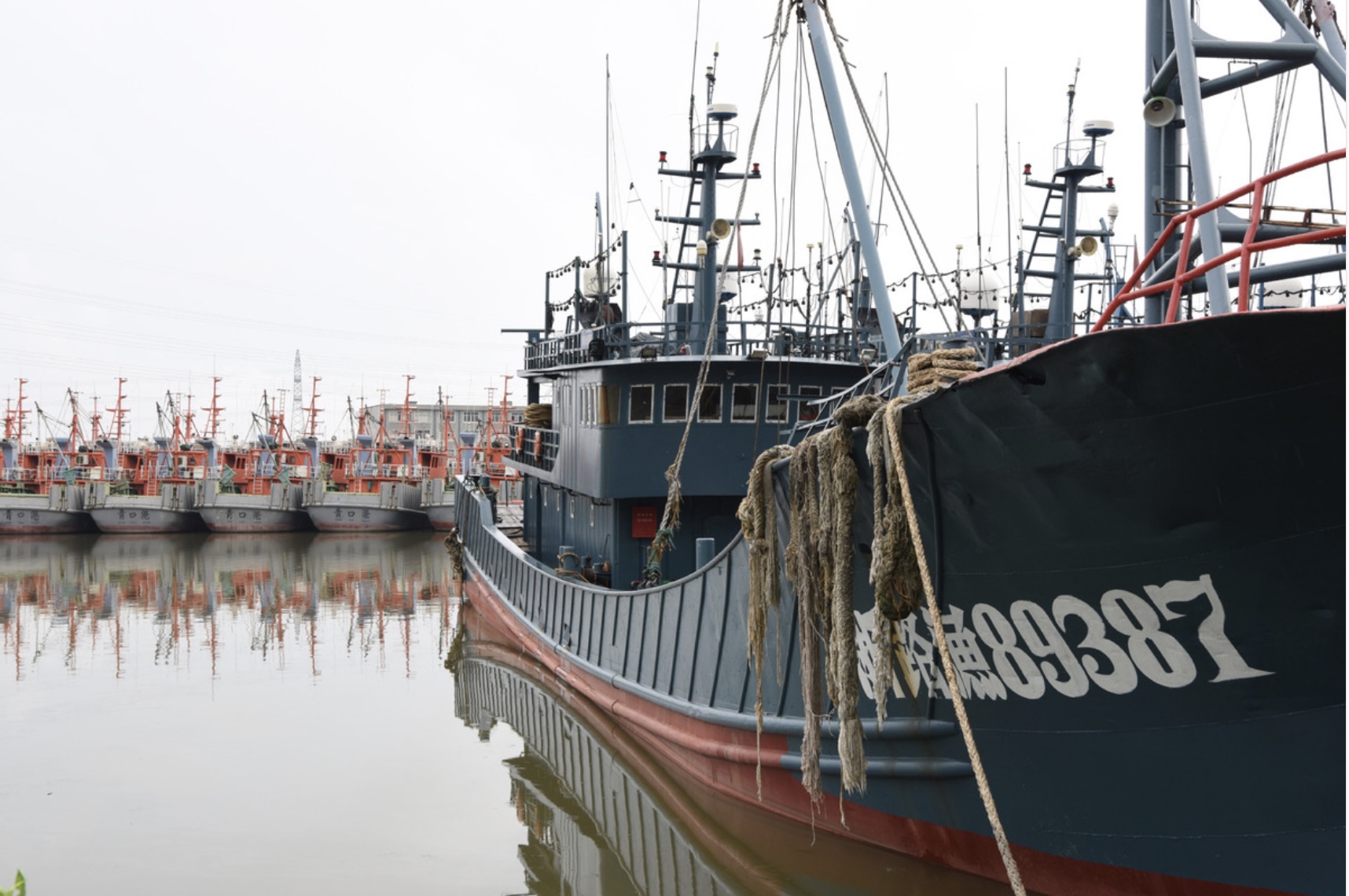 Tàu cá trú ẩn tại cảng khi bão Khanun di chuyển đến gần thành phố Thái Châu, tỉnh Chiết Giang, Trung Quốc. Ảnh: Xinhua