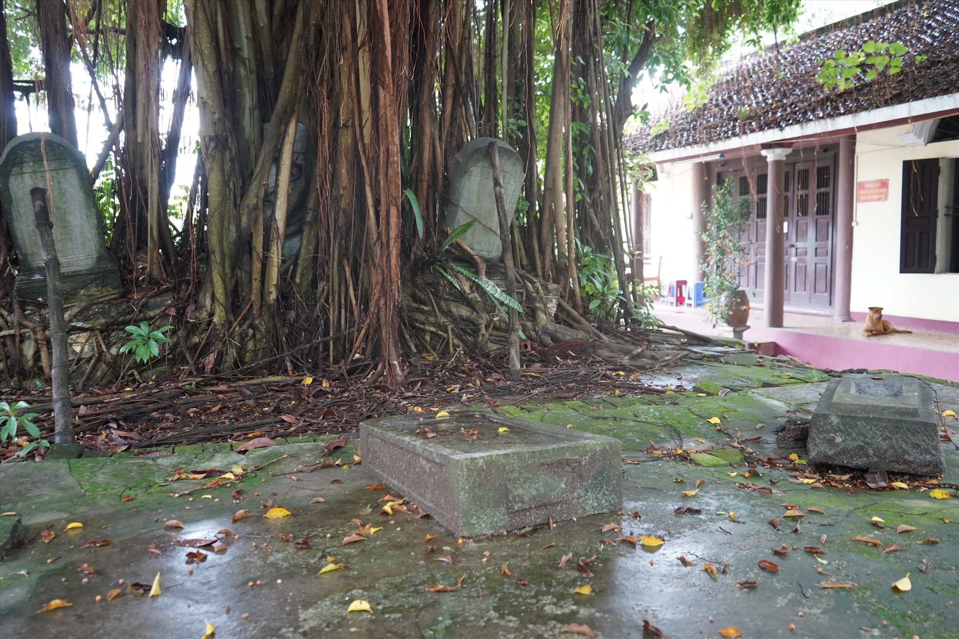 Hạng mục trong di tích quốc gia chùa Phụng Pháp (Hải Phòng) trở thành phế tích. Ảnh: Mai Dung