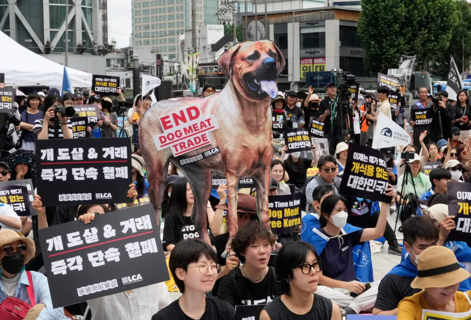 Cấm buôn bán thịt chó ở Hàn Quốc không hề dễ dàng