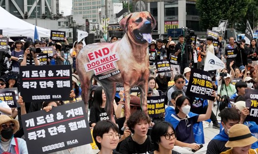 Các nhà hoạt động biểu tình phản đối việc buôn bán thịt chó ở Seoul, Hàn Quốc, ngày 8.7.2023. Ảnh: AP