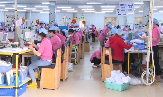 Kiên Giang đặt mục tiêu giá trị sản xuất công nghiệp 6 tháng cuối năm 2023 đạt gần 26.000 tỉ đồng. Ảnh: Nguyên Anh