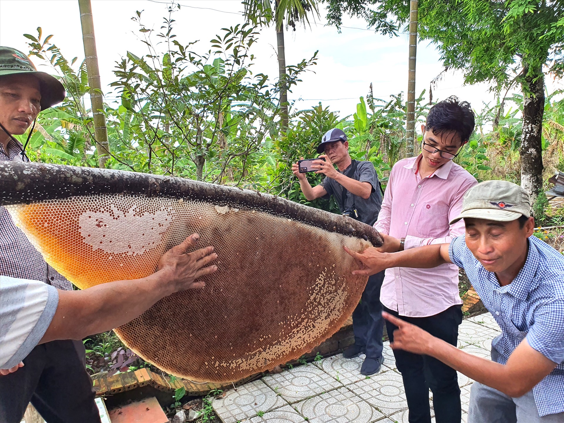 U Minh Hạ, tỉnh Cà Mau nơi còn nhiều cánh rừng tràm ngyên sinh cho những sản vật phong phó, trong đó có ong mật. Ảnh: Nhật Hồ