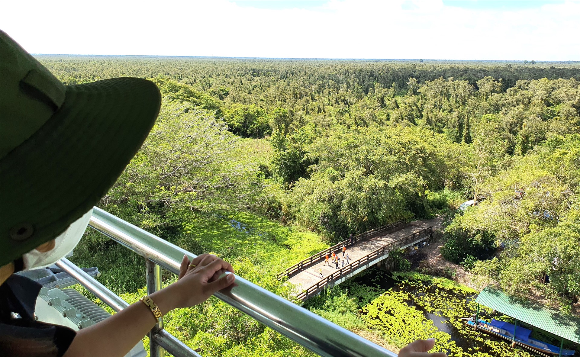 Một góc rừng tràm U Minh hạ, tỉnh Cà Mau. Ảnh: Nhật Hồ