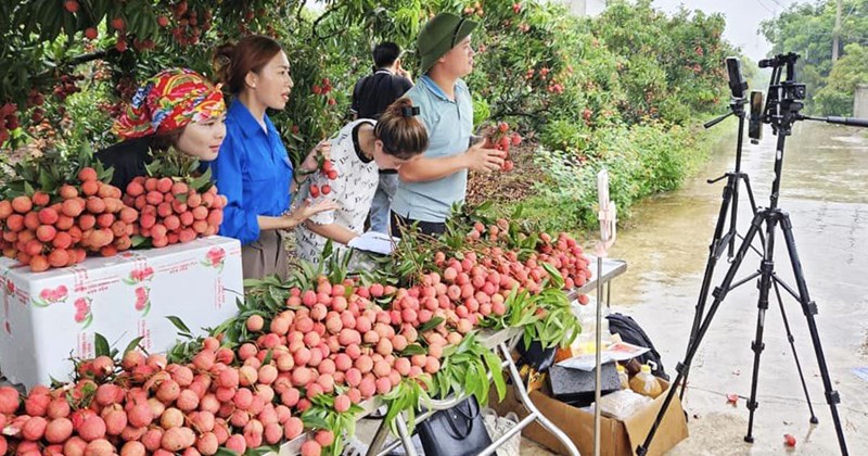 Cùng nông dân đưa nông sản Việt lên sàn thương mại điện tử