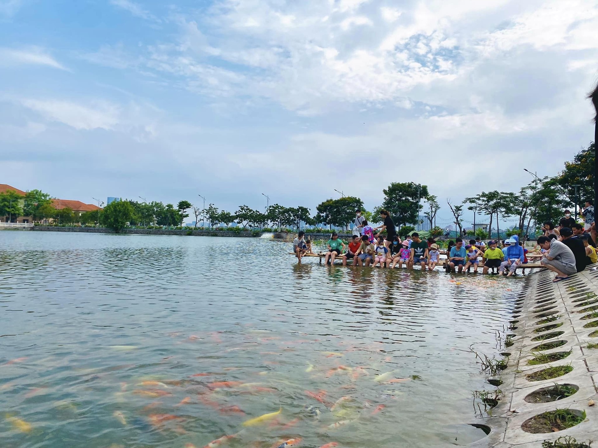 Biết đến hồ cá Koi qua mạng xã hội, bạn Thanh Tú (Long Biên, Hà Nội) rủ bạn bè tới chiêm ngưỡng đàn cá kể: “Eo ôi cá chỉ bu đông nhất ở chỗ cầu tre thôi. Mà chỗ cầu tre lúc nào cũng đông nghịt luôn, toàn trẻ con ngồi nhung nhúc. Hôm mình đi còn chứng kiến 1 cháu rơi xuống hồ“.