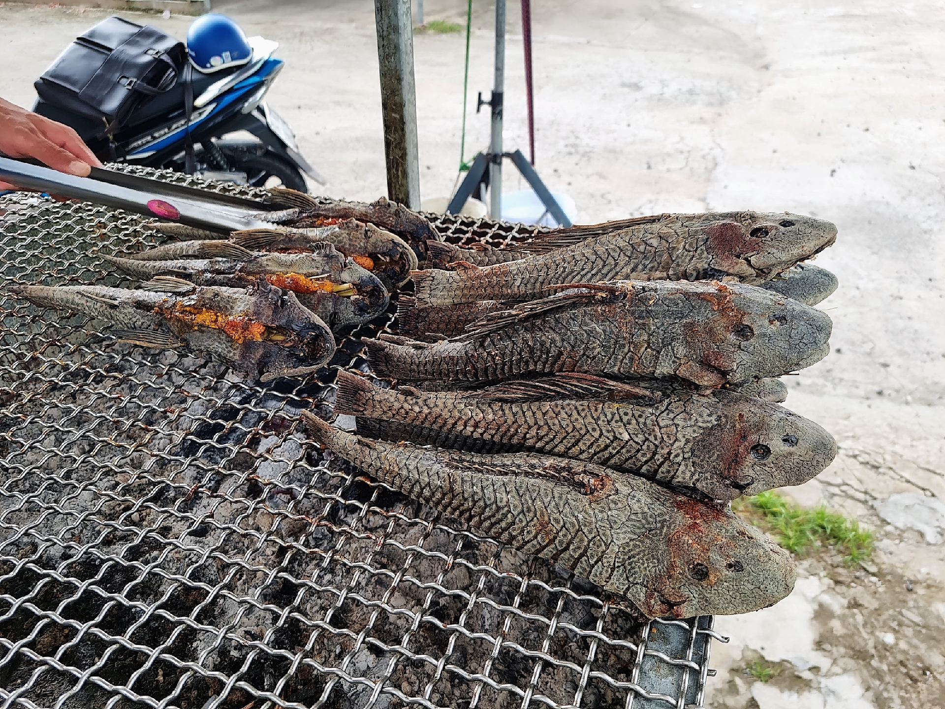 Để đảm bảo cá luôn nóng và độ ngon thì mỗi lần nướng chỉ từ 20 - 30 con. Ảnh: Hoàng Lộc.