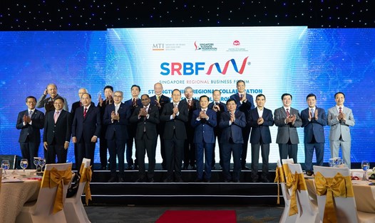 12 biên bản ghi nhớ đã được ký kết giữa các tổ chức công và tư từ Singapore và Việt Nam. Ảnh: Nguyễn Linh 