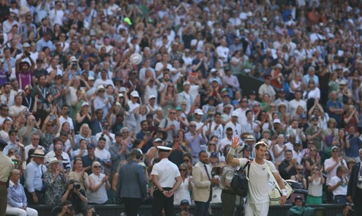 Andy Murray dừng chân ở vòng 3. Ảnh: Wimbledon