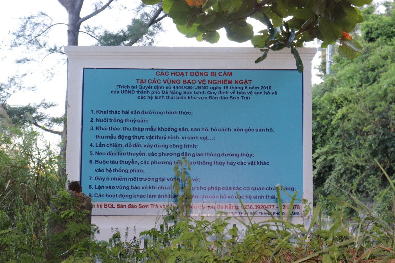 UBND quận Sơn Trà đã đặt biển cấm, đưa ra các quy định cụ thể khi tham quan, du lịch trên bán đảo Sơn Trà để nhắc nhở du khách.
