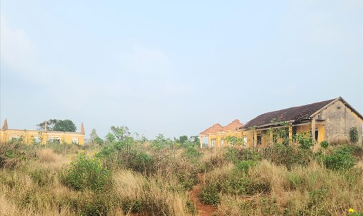 Sau 14 năm được cho thuê đất ở vị trí trắc địa nhưng một doanh nghiệp ở Đắk Lắk đã không triển khai xây dựng dự án. Ảnh: Bảo Lâm