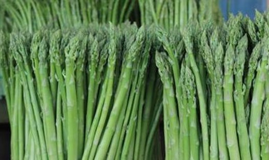 Măng tây là một trong những loại rau xanh có chứa các chất  hỗ trợ quá trình chuyển hóa, hấp thu và sản xuất collagen của cơ thể. Ảnh: Kiều Vũ