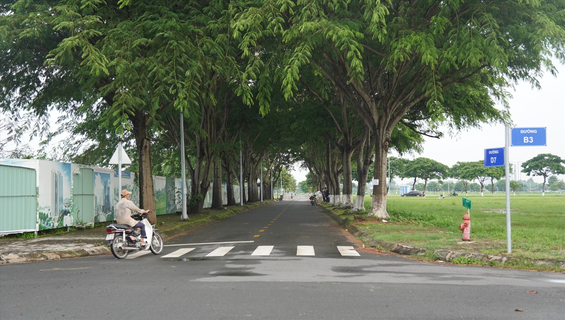 Tuyến đường chính được xây dựng hệ thống chiếu sáng, cây xanh, vỉa hè... chạy dài giữa những lô đất mọc đầy cỏ, hoang vắng.