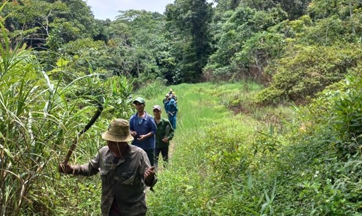 Người dân tuần tra, bảo vệ rừng cộng đồng làng Đê Kôn. Ảnh: Thanh Tuấn