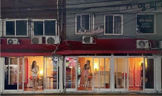Capital Alley - khu đèn đỏ cuối cùng ở Seoul, Hàn Quốc. Ảnh chụp màn hình