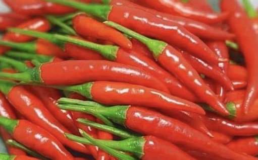 Ớt là loại gia vị cay nóng nên không tốt đối với người mắc bệnh dạ dày. Ảnh: Phạm My