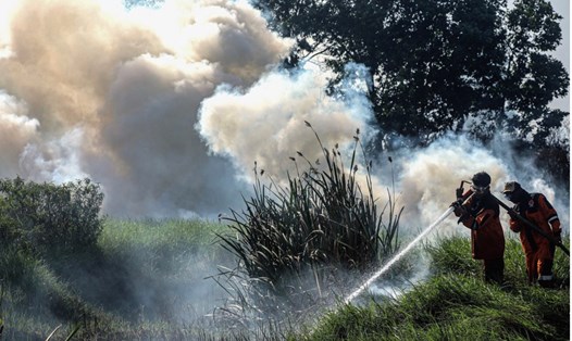 Một đám cháy rừng ở Indonesia năm 2020. Ảnh: Xinhua