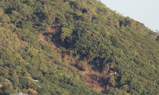 Hình ảnh cây bị chặt hạ tạo thành vệt trống trên sườn núi Nhỏ tại TP Vũng Tàu. Ảnh: người dân cung cấp