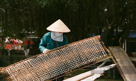 Về làng nghề miến ở Nam Định xem quy trình sản xuất công phu. Ảnh: Lương Hà