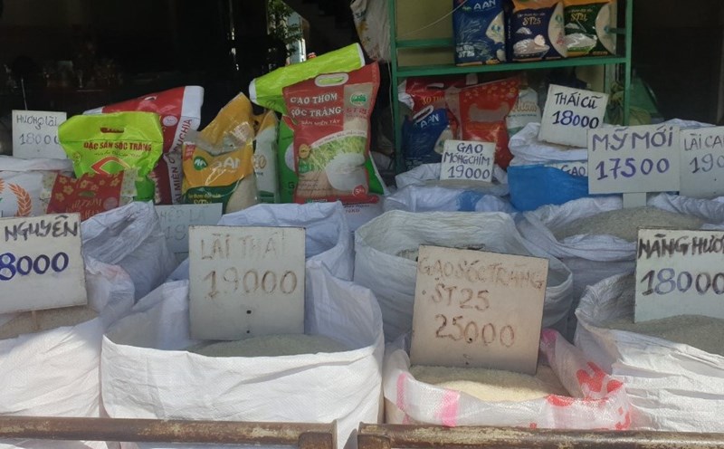 Trò chơi bắn cá siêu thị - Khám phá thế giới giải trí đầy màu sắc và thử thách