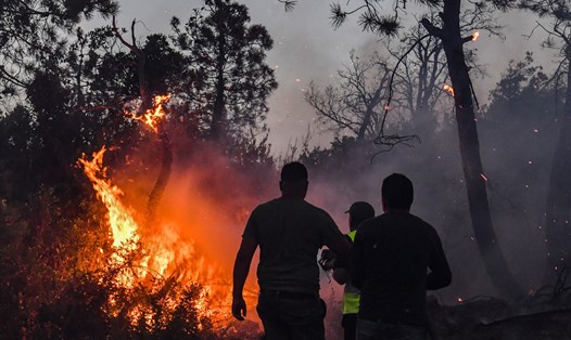 Những vụ cháy rừng lớn, gây hậu quả nghiêm trọng, có thể được ngăn chặn từ sớm nhờ công nghệ trí tuệ nhân tạo. Ảnh: AFP