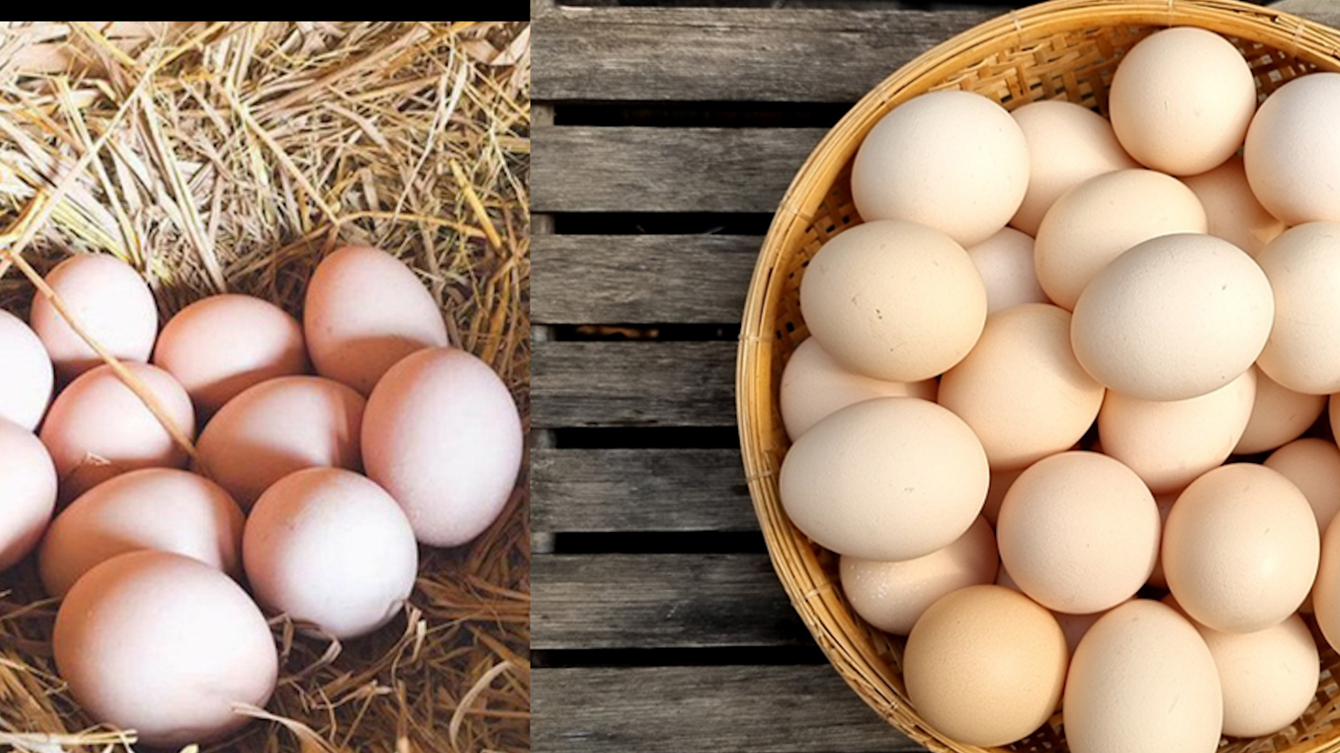 Trứng gà cung cấp protein rất tốt. Ảnh: NGUYỄN LY 