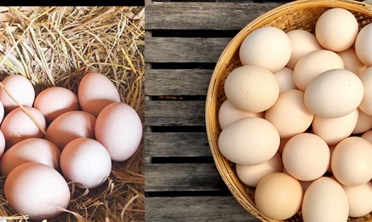 Trứng gà cung cấp protein rất tốt. Ảnh: NGUYỄN LY 