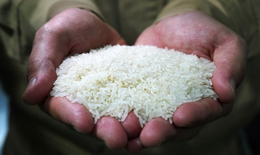 Giá gạo tăng đột biến sau những biến động gần đây ở những nhà xuất khẩu hàng đầu. Ảnh: Xinhua
