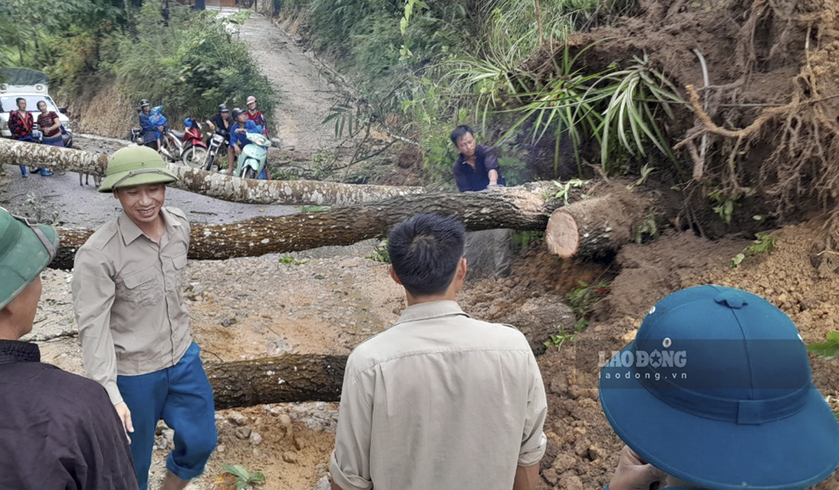 Lực lượng địa phương và người dân khắc phục sự cố cây đổ để có thể qua lại tạm thời.
