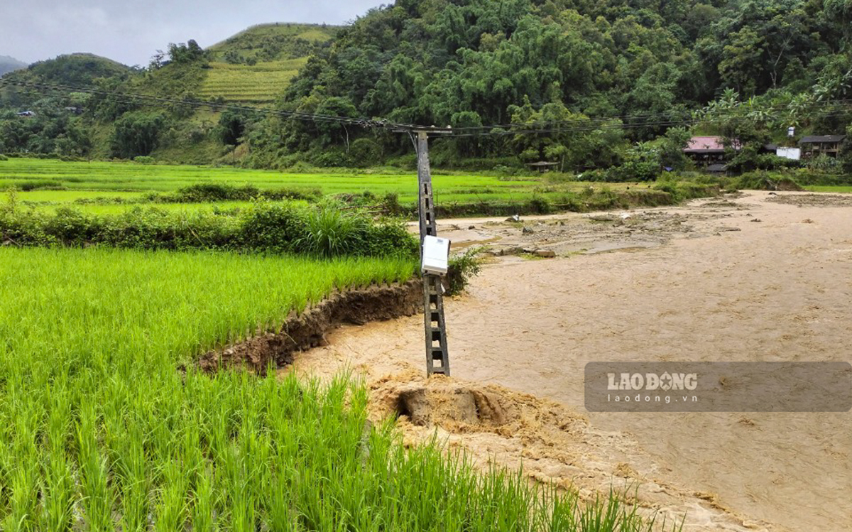 Tại huyện Tủa Chùa, từ ngày 11-12.8 mưa lớn xảy ra trên địa bàn toàn huyện gây thiệt hại nhiều về tài sản của nhà nước và nhân dân. Tổng giá trị thiệt hại ước tính khoảng trên 3 tỉ đồng. 