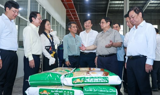 Thủ tướng Phạm Minh Chính yêu cầu chú trọng đầu tư, xây dựng và phát triển thương hiệu nông sản Việt nói chung và của Công ty nói riêng. Ảnh: VGP

