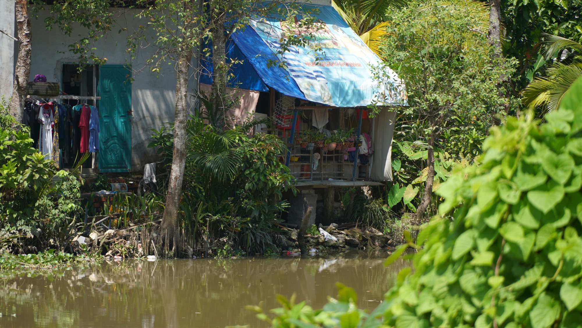 Lo ngại về tình trạng sốt xuất huyết, chị Trần Huyền Trâm (19 tuổi, tỉnh Cà Mau) cho hay, mùa mưa đang cận kề, cộng với rác thải tràn lan nên muỗi sẽ sản sinh rất nhiều.