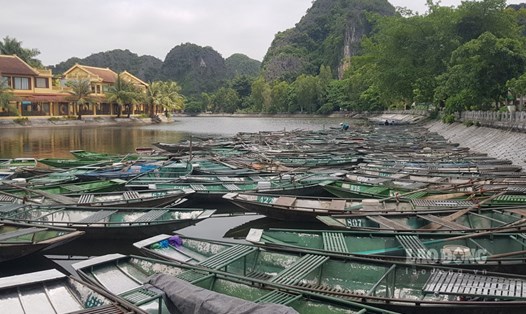 Khu vực Bến thuyền Tam Cốc (xã Ninh Hải, huyện Hoa Lư, Ninh Bình) đìu hiu, hàng nghìn chiếc thuyền nằm chỏng chơ dưới sông. Ảnh: Diệu Anh
