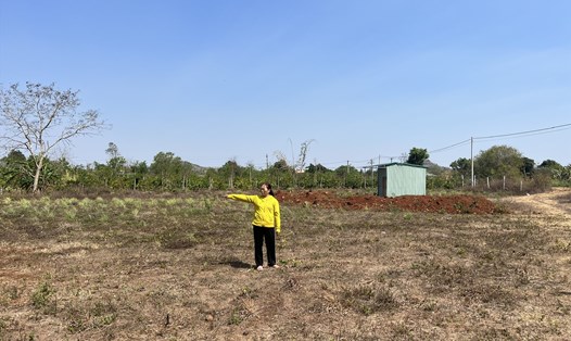 Một góc thửa đất sắp bị thu hồi của gia đình bà Phạm Thị Tình. Ảnh: Bảo Trung
