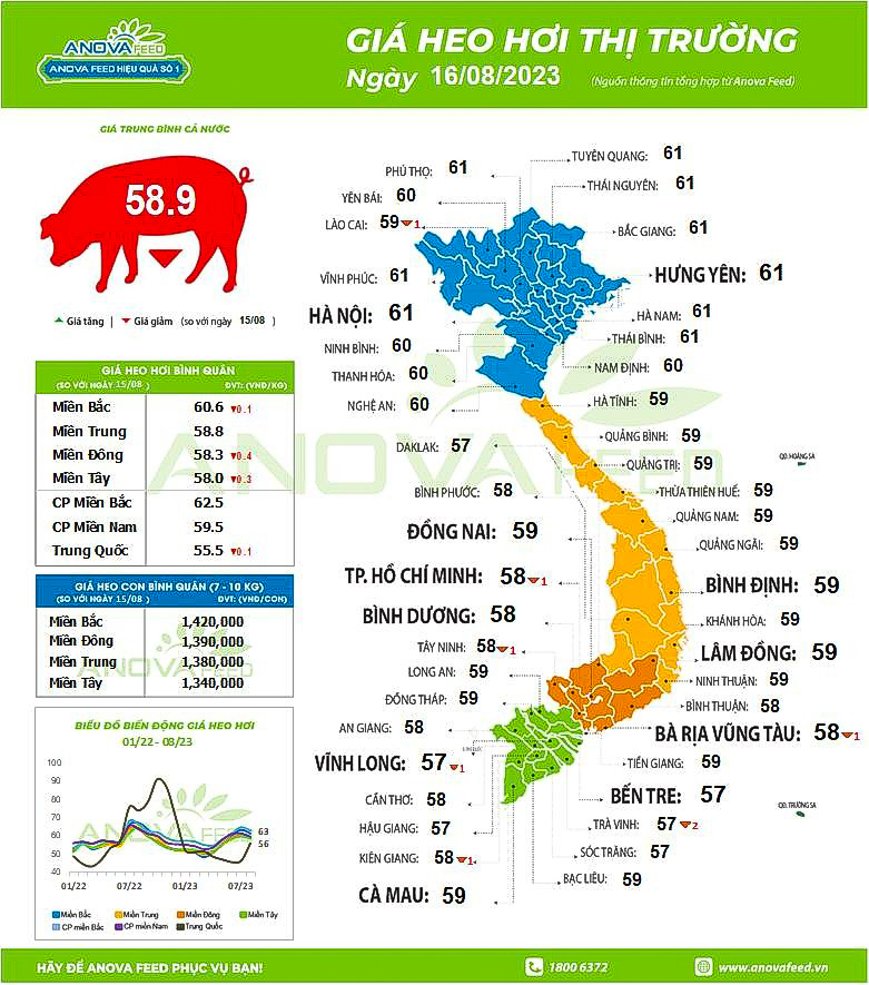 Giá lợn hơi trên cả nước ngày 16.8.2023. Nguồn: Anova Feed.