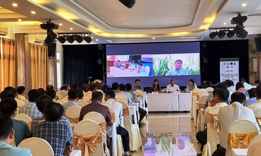 Hội thảo “Thách thức và cơ hội cho ngành nông nghiệp ở Đắk Nông trong bối cảnh thực thi Quy định EUDR tại Đắk Nông. Ảnh: Hương Giang