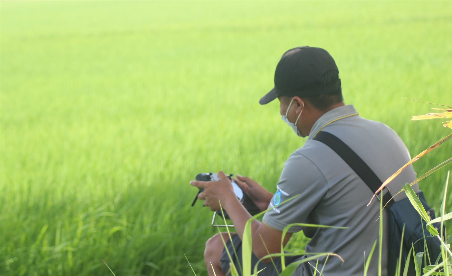 Áp dụng cơ giới hóa vào sản xuất nông nghiệp, nông dân nhàn nhã ra đồng, chỉ cần ở trên bờ quan sát. Ảnh: Bích Ngọc