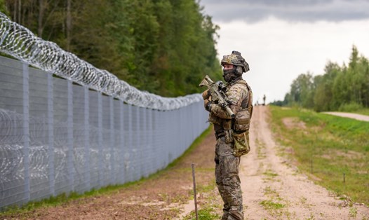 Thành viên Lực lượng Biên phòng Nhà nước (SBG) Latvia tuần tra dọc theo hàng rào ở biên giới Latvia/Belarus gần Krivanda, đông Latvia ngày 8.8.2023. Ảnh: AFP