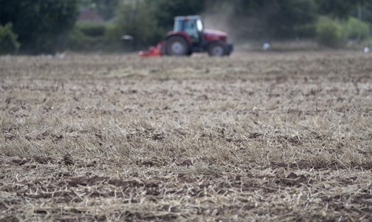 Một cánh đồng bị hạn hán do biến đổi thời tiết ở Staffordshire (Anh), tháng 2.2022. Ảnh: Xinhua