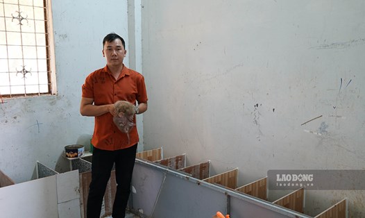 Anh Nguyễn Văn Tàu (Trần Đề, Sóc Trăng) thành công với mô hình nuôi dúi. Ảnh: Phương Anh