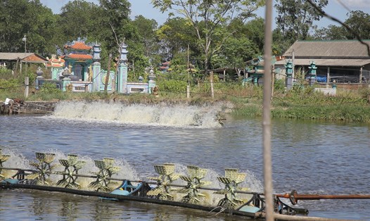 Hồ nuôi tôm trên đất nông nghiệp ở xã Triệu An. Ảnh: Hưng Thơ.