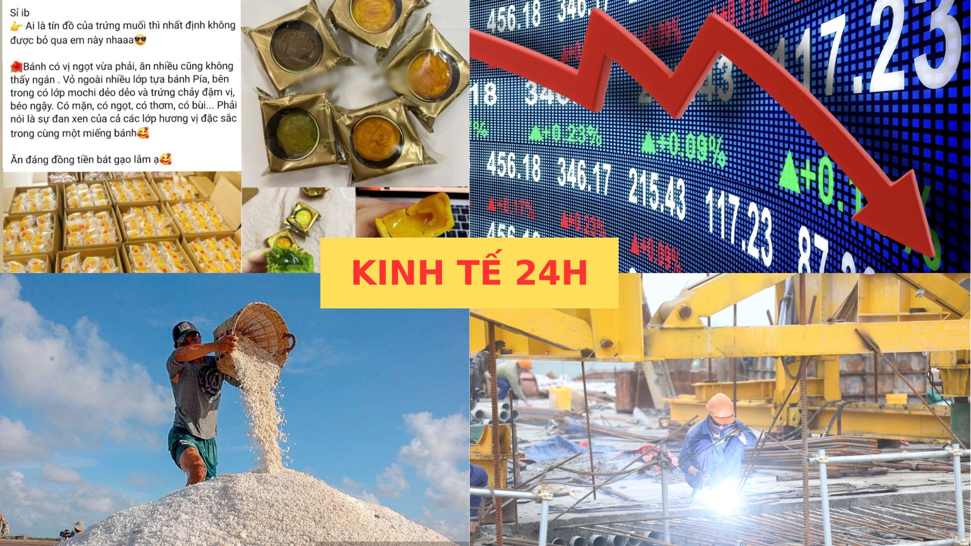 Đồ hoạ: Tuyết Lan 