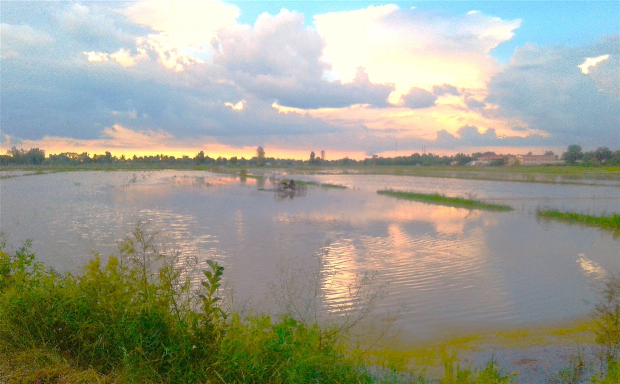 Những thửa đất bị “bỏ rơi“. Ảnh: Bích Ngọc