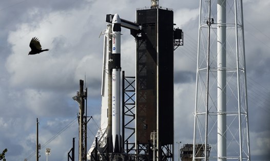 SpaceX hay Blue Origin là những cái tên quen thuộc trong ngành vũ trụ tư nhân của Mỹ. Ảnh: AFP