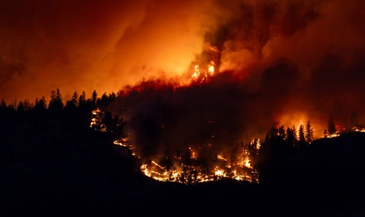 Canada đã yêu cầu Meta gỡ lệnh cấm tin tức trên nền tảng để người dân có thể tiếp cận thông tin về vụ cháy rừng ở đây. Ảnh: AFP