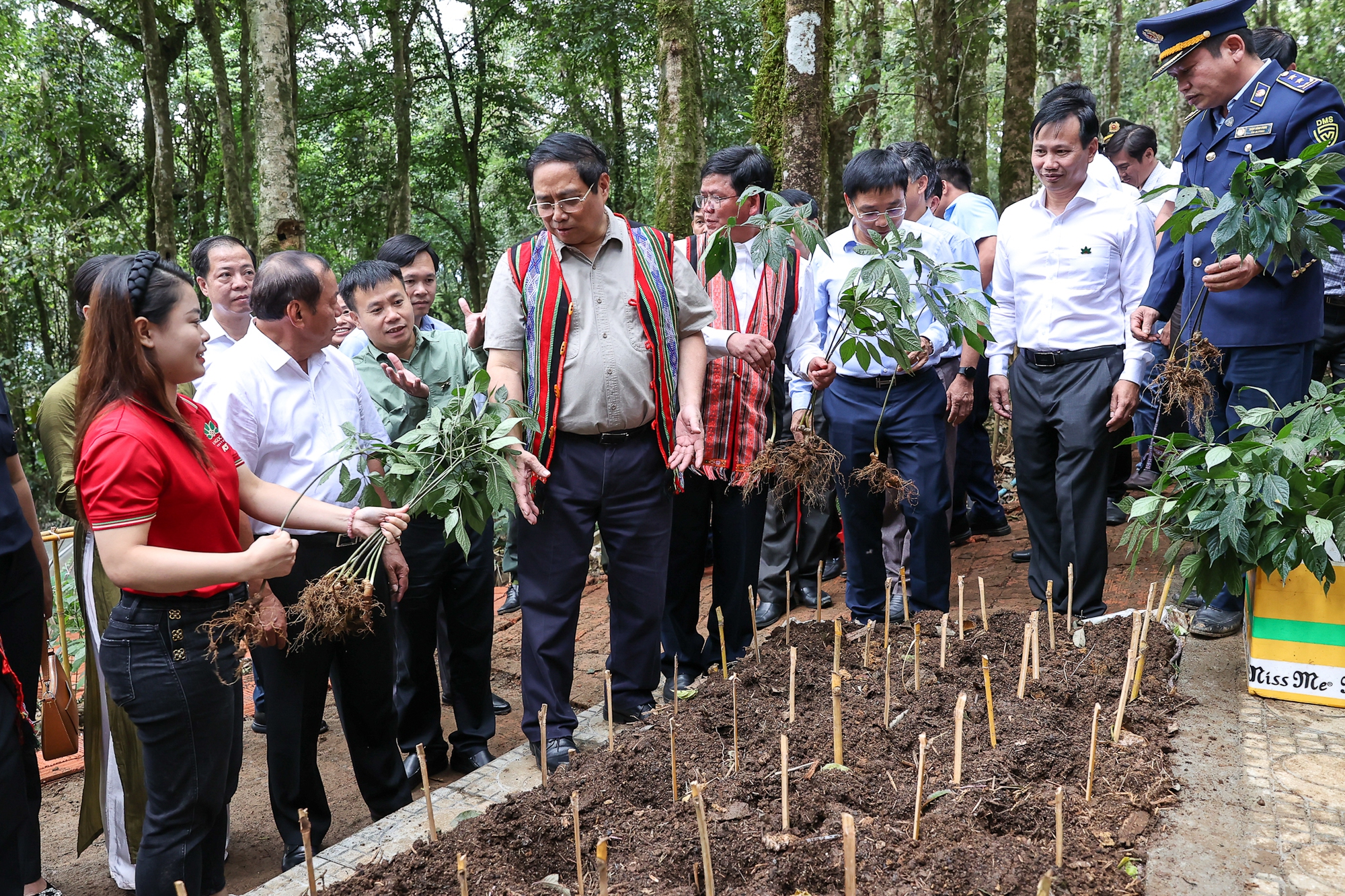 Thủ tướng khảo sát tại vườn sâm Ngọc Linh, xã Măng Ri, huyện Tu Mơ Rông. Ảnh: VGP