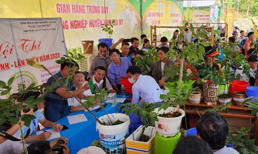 Lễ hội Sâm Ngọc Linh 2023 (Từ ngày 1-3.8) tại huyện Nam Trà My, Quảng Nam thu hút đông đảo du khách tham gia. Ảnh Hoàng Bin