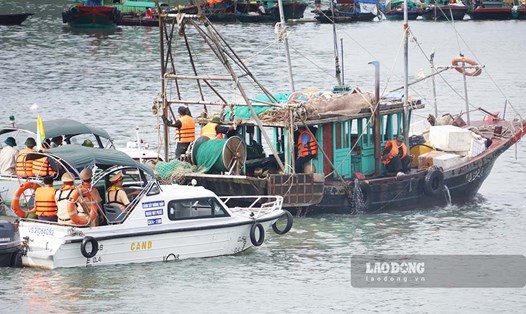 Các lực lượng chức năng TP Hạ Long di chuyển tàu thuyền về nơi neo đậu theo quy định. Ảnh: Đoàn Hưng