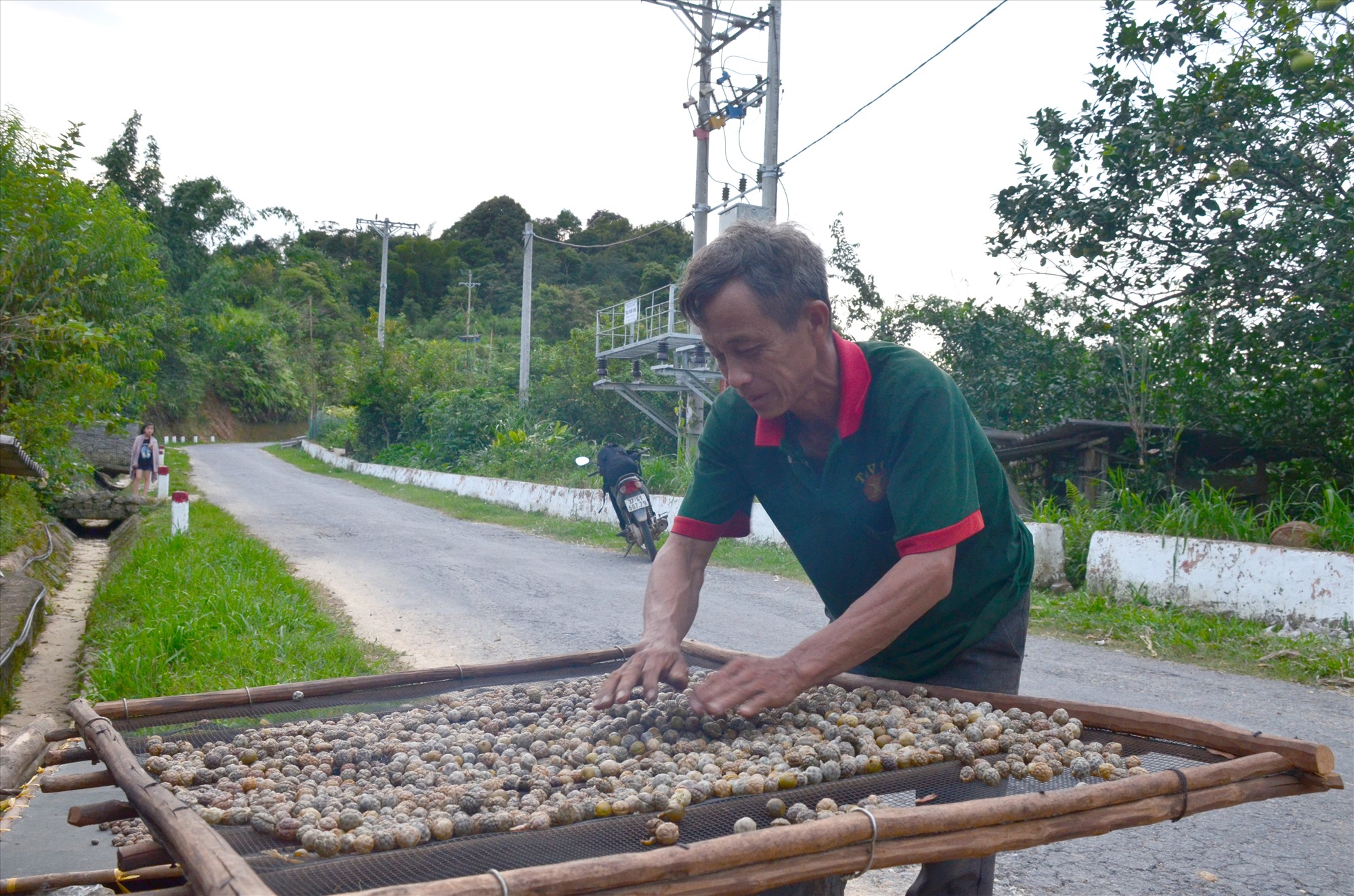 Ông Hờ Chồng Chớ (xã Huồi Tụ huyện Kỳ Sơn) đang hong khô mẻ hạt bo bo vừa mới được tách vỏ.  Ảnh: Hà Thủy