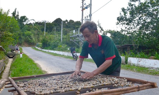 Ông Hờ Chồng Chớ (xã Huồi Tụ huyện Kỳ Sơn) đang hong khô mẻ hạt bo bo vừa mới được tách vỏ.  Ảnh: Hà Thủy